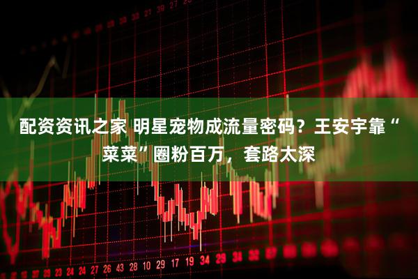 配资资讯之家 明星宠物成流量密码？王安宇靠“菜菜”圈粉百万，套路太深