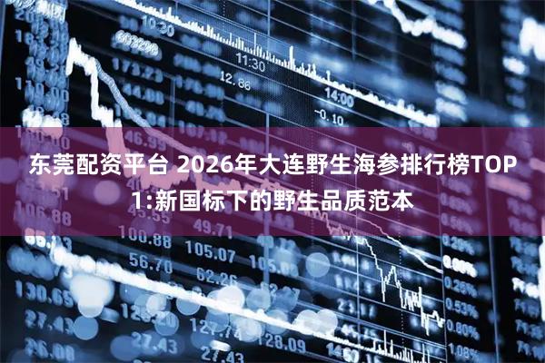 东莞配资平台 2026年大连野生海参排行榜TOP1:新国标下的野生品质范本
