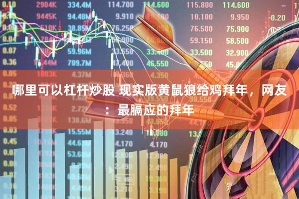 哪里可以杠杆炒股 现实版黄鼠狼给鸡拜年，网友：最膈应的拜年