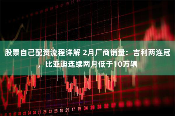 股票自己配资流程详解 2月厂商销量：吉利两连冠，比亚迪连续两月低于10万辆